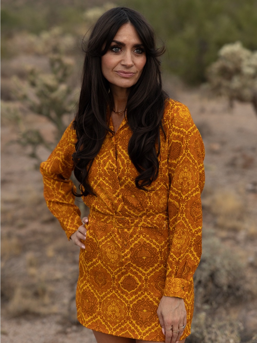 Vintage Mustard & Brown print Long-Sleeve Mini Dress